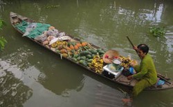 “Chợ nổi di động” vùng sông nước Cửu Long