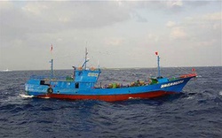 Ngư dân Trung Quốc tố bị bắt làm nô lệ trên tàu cá trong 4 năm