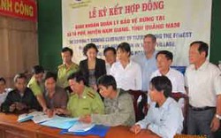 Quảng Nam: Khi người dân là chủ rừng