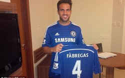 Chia tay Barca, Fabregas chính thức gia nhập Chelsea