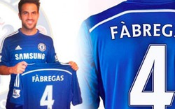 Nhờ Fabregas về Chelsea, Arsenal có thêm tiền mua Balotelli