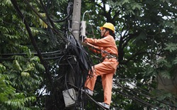 Hà Nội: Nhức nhối vi phạm an toàn lưới điện