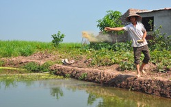 Góp tiền dưỡng già, hiến đất làm NTM