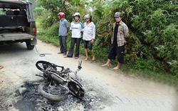 Trộm chó và vòng luẩn quẩn vẫn chưa có hồi kết 