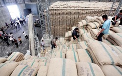 Bỗng phát hiện 2,9 triệu tấn gạo của Thái Lan... “mất tích” 