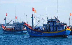 Phú Yên: 53 tỷ đồng hỗ trợ ngư dân bám biển