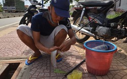 ĐỘC: Câu cá ở... cống thoát nước nơi vỉa hè Sài Gòn