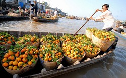 Hà Lan hỗ trợ Việt Nam phát triển nông nghiệp và vùng ĐBSCL