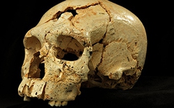 Phát hiện hộp sọ người niên đại 430.000 tuổi