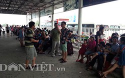 Hàng trăm du khách bị kẹt nhiều giờ tại bến phà Tuần Châu-Cát Bà