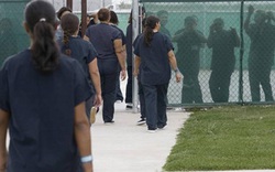 Bê bối 39 nữ tù nhân bị cưỡng bức triệt sản trái phép ở Mỹ
