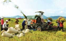 Điện Biên: Ưu tiên tín dụng đối với nông nghiệp, nông thôn