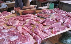 Nhiều mẫu thịt tại Hà Nội bị nhiễm khuẩn E.coli, Salmonella