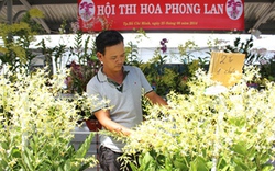 Ông chủ “tài tử” mê sưu tầm phong lan cổ xưa