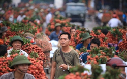 Vừa bán, vừa… lo thương nhân Trung Quốc gian dối, quỵt tiền