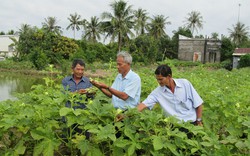 Chi hội trưởng vượt khó làm giàu thu trăm triệu mỗi năm