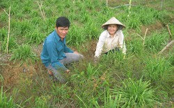 Làm giàu ở “địa ngục trần gian”