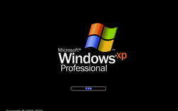 Thị phần Windows XP lớn hơn Windows 8 và 8.1 cộng lại