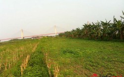 Chuyện lạ: Dịch vụ cho thuê đất trồng rau sạch ở Hà Nội