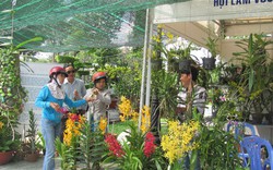 380 gian hàng tham gia chợ phiên nông sản Bình Điền