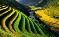 25 bức ảnh về Việt Nam đẹp “không cưỡng nổi” 