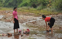 Sìn Hồ &#40;Lai Châu&#41;: Phụ nữ tiết kiệm gạo hỗ trợ hội viên nghèo