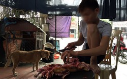 Lạnh người xem mèo bị dìm chết, xẻ thịt ở Thái Bình