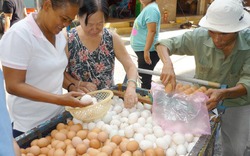 TP.HCM: Nhiều người mua phải trứng loãng lòng nghi tồn từ Tết