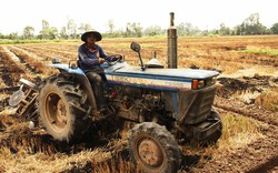 Nhà nông cho đất... “xả hơi”