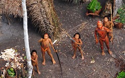Bí ẩn bộ lạc 60.000 năm tuổi trên hoang đảo