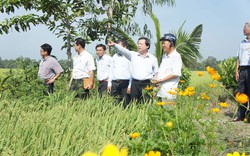 Lãnh đạo Hội NDVN kiểm tra xây dựng nông thôn mới Đồng Tháp