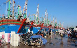 Nghệ An: Ngân hàng sẵn sàng, ngư dân do dự