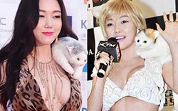 Phong cách gây đau mắt của &#34;Yêu nữ vác mèo&#34; Hàn Quốc