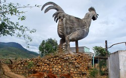 Độc đáo tượng gà 9 cựa của người K’Ho