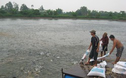 Tôm, cá Việt chinh phục “ông lớn”