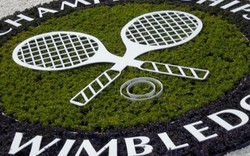 Lộ mức tiền thưởng kỷ lục ở giải quần vợt Wimbledon 