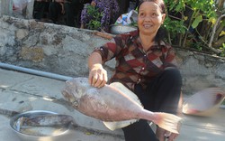 Chợ hải sản tươi ngon có “view đẹp nhất nhì Việt Nam“