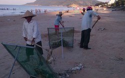 Hội tham gia làm sạch bờ biển