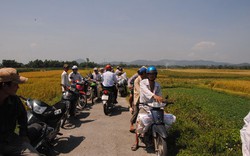 Hợp tác xã nông nghiệp Hương Long cản trở nông dân gặt lúa