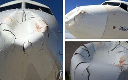 Thổ Nhĩ Kỳ: Máy bay chở khách bị chim tấn công bẹp mũi