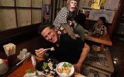 Video: &#34;Khỉ hầu bàn&#34; tại quán ăn Nhật Bản