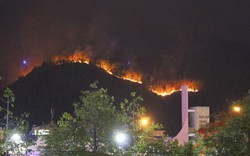 Khởi tố người đốt nhang gây cháy 20 ha rừng núi Bà Hỏa