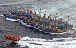 Hàn Quốc “tuyên chiến” với những kẻ trộm cá Trung Quốc