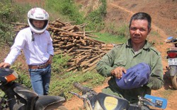 Vụ hàng trăm ha cao su bị tàn phá ở Sơn La: Ban chỉ đạo tỉnh cũng không biết