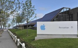 Apple mua 1 triệu hecta rừng của Trung Quốc