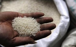 Bộ Y tế đang xác minh thông tin “gạo nhựa có mặt tại VN”