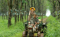 Liên kết vùng để tránh dội chợ