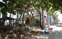 Đập bỏ công trình nhếch nhác “xẻ thịt” bờ biển Nha Trang