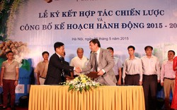 Hạt mắc ca thu hút “7 bên” ký kết hợp tác