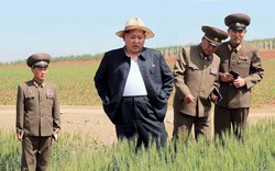 Kim Jong-un phanh áo đi kiểm tra nông trại